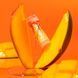 Бальзам для губ Mango Sorbet Balme 4823109411920 фото 8